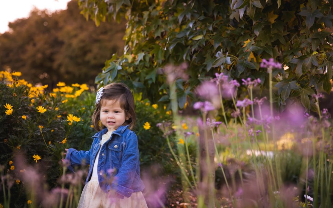 Top 7 Spring Photoshoot Locations Near San Francisco Bay Area: Capturing the Beauty of Wildflowers