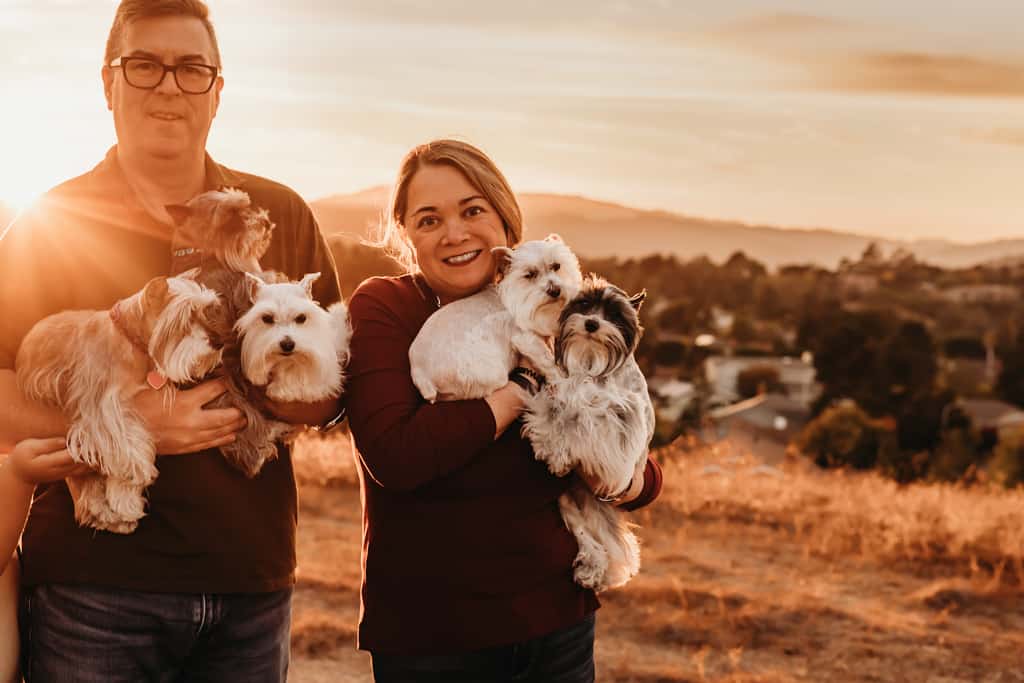 Family photoshoot with dogs