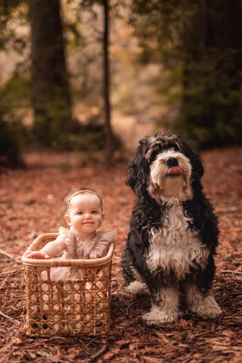 baby in basket with doodle