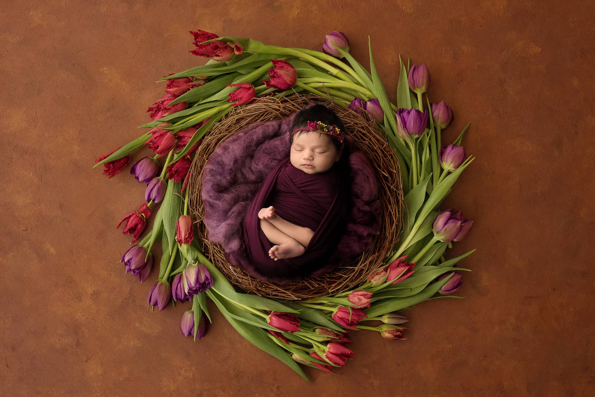 Burlingame Newborn Photographer