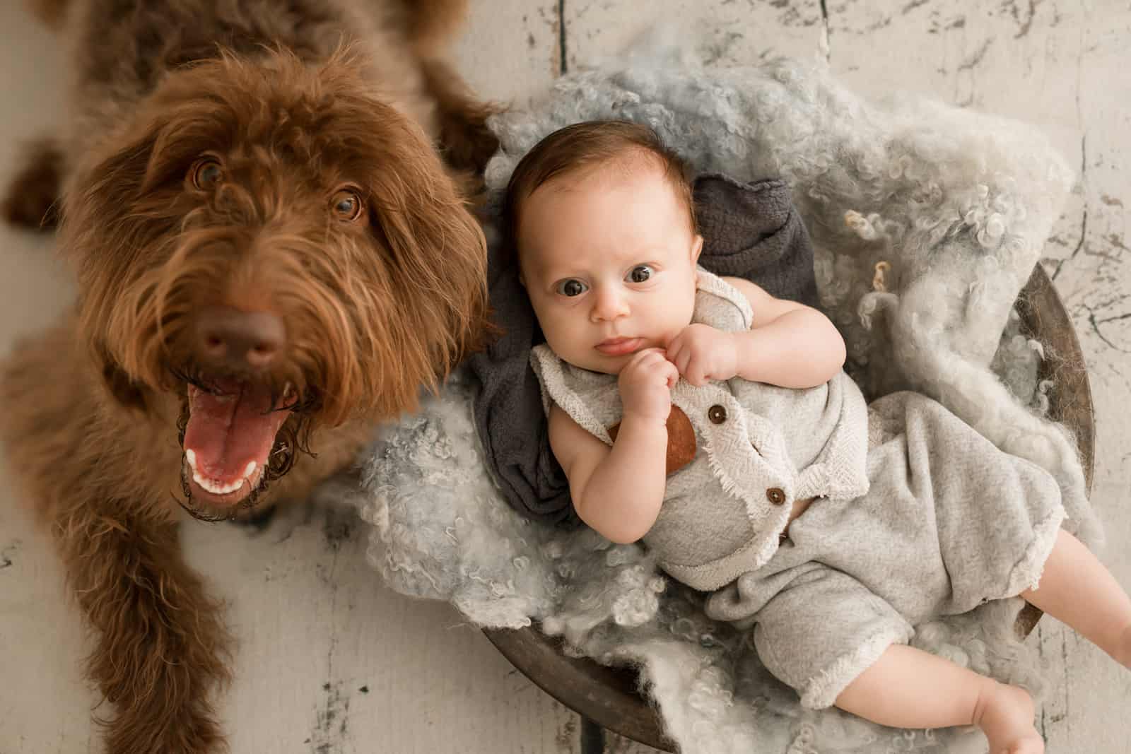 Newborn baby with dog