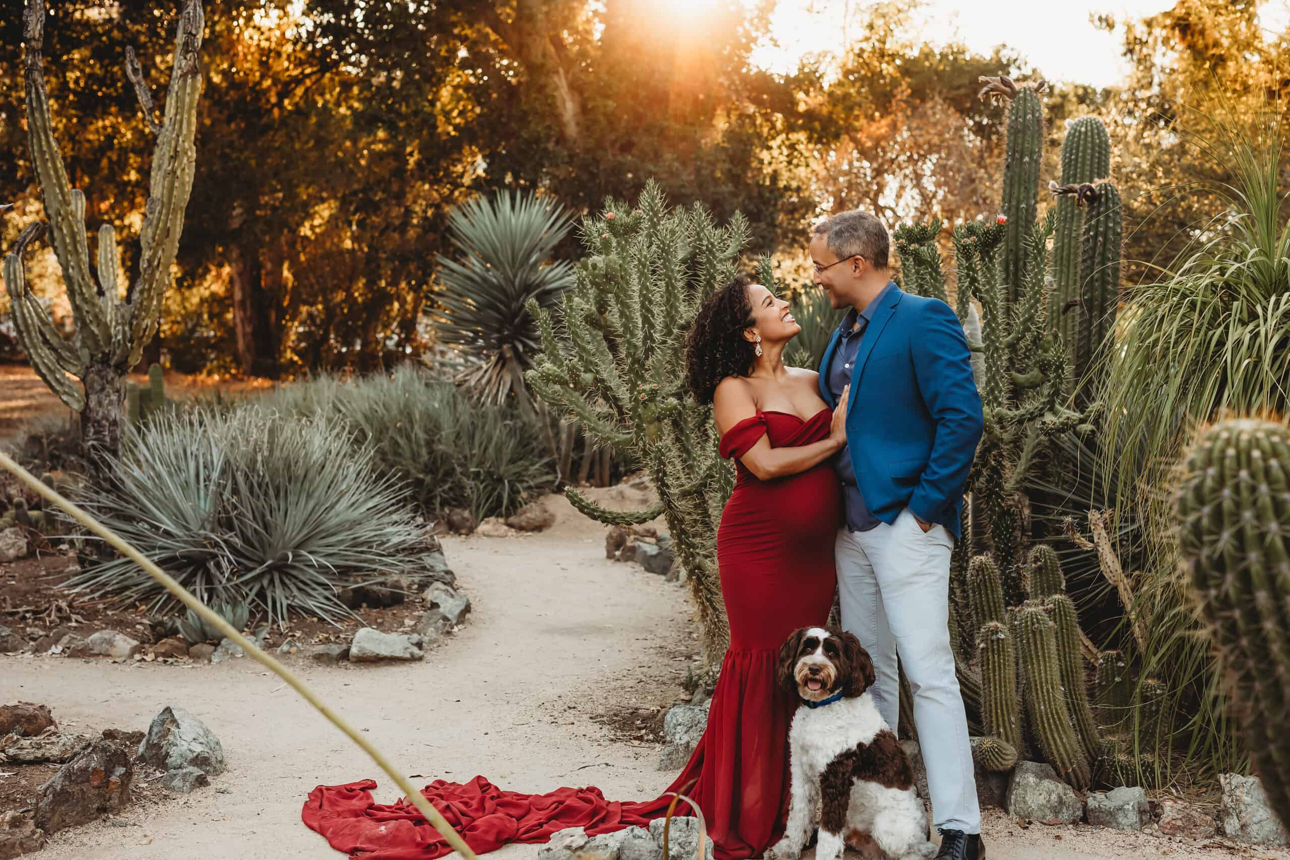 Maternity shoot with dog at cactus garden